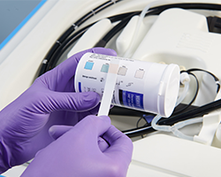 Verification of a liquid chemical sterilization cycle