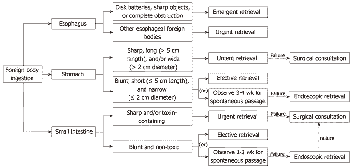 Breakdown of foreign body ingestions