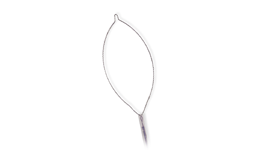 Rotator Polypectomy Snare Standard Oval