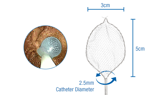 Roth Net 360 Dimensions