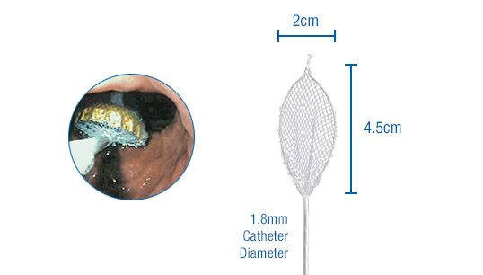 Roth Net Mini Dimensions