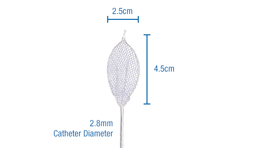 Roth Net Mini Polyp Dimensions