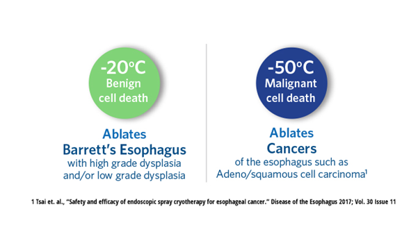 Comparison between Barretts and Cancer cell death temps