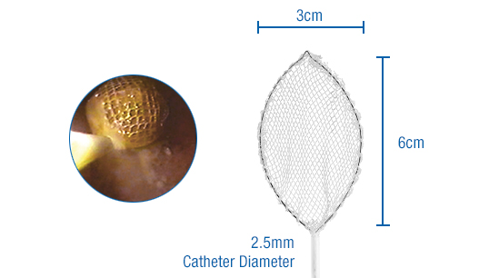 Roth Net Select Dimensions