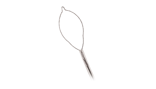 Short Throw Polypectomy Snare